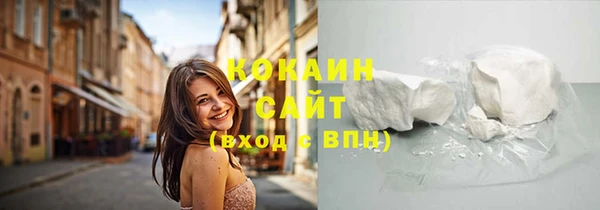 сатива Новокубанск
