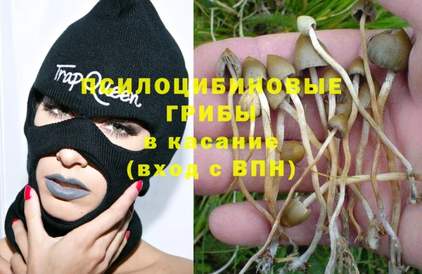 дживик Алзамай