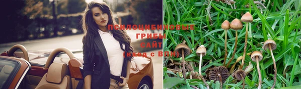 дживик Алзамай